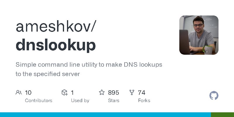 GitHub - ameshkov/dnslookup: Simple command line utility to make DNS lookups to the specified server