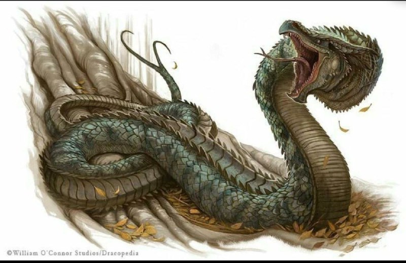 #吐槽@[email protected] 区别还是太大了, 缺了兔眼, 鹿角, 驼头, 鹰爪, 虎掌, 没有须子, 也没有耳朵.----------------------节南山(@yukimomo@m.cmx.im) says:我在看同人时发现了什么：龙鳗 (Wrym) 在西方的奇幻传说中，是一种没有脚也没有翅膀的龙，体型像鳗鱼、蟒蛇、毛虫一样细长，要在地上滑行