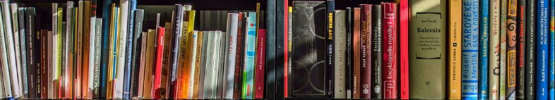 Anna's Archive Loses .LI Domain As Legal Pressure Mounts * TorrentFreak