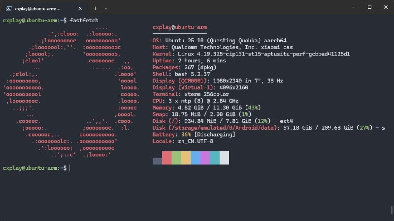 #吐槽Droidspace 里面的 Ubuntu 25.10 :thumb_man:via Nostr@cxplay