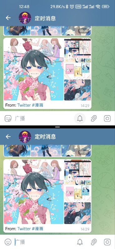 谁是真的？ #issue20220509-1P1：左边是 Web 端（K），右边是 PC 客户端；P2：上面是 Telegram 客户端，下面是 Nekogram 客户端