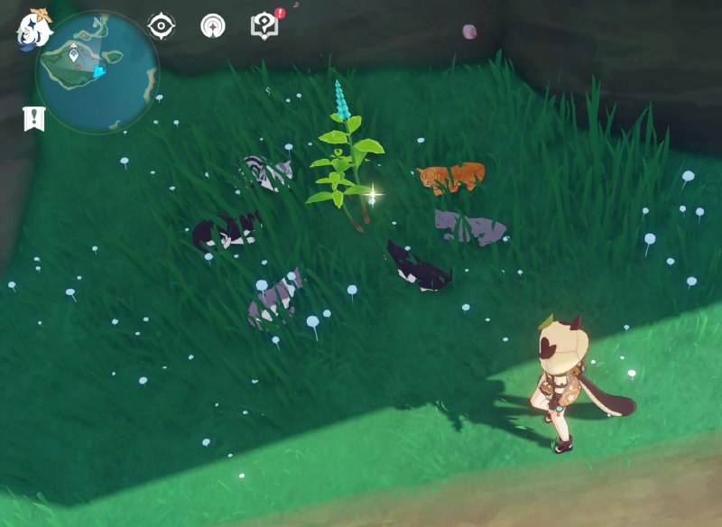 提瓦特的薄荷其实是猫薄荷. #原神