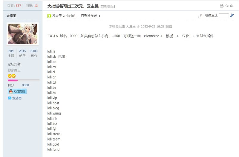 大魔王退烧, 大量出售萝莉域名🤣