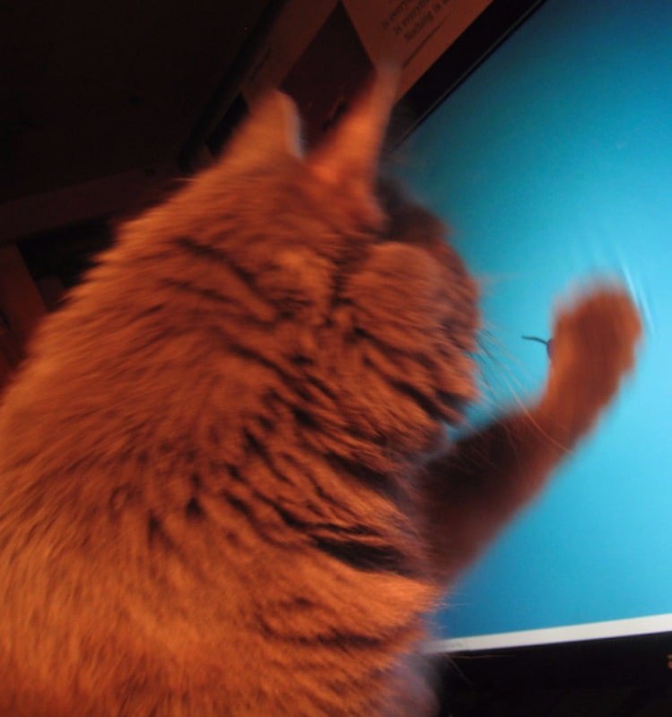 Linux 桌面环境 xfce 的用户报告过一个可能由于软件导致的硬件损坏:由于 xfce 默认的壁纸中包含它的 logo —— 一只老鼠; 很可能导致猫看到 logo 时用爪子抓挠显示器导致损坏...😹来源: Hostloc |OMG! Ubuntu! | xfce.org #noteLinux 桌面环境 xfce 的用户报告过一个可能由于软件导致的硬件损坏:由于 xfce 默认的壁纸中包含它的 logo —— 一只老鼠; 很可能导致猫看到 logo 时用爪子抓挠显示器导致损坏...😹来源: Hostloc |OMG! Ubuntu! | xfce.org #note